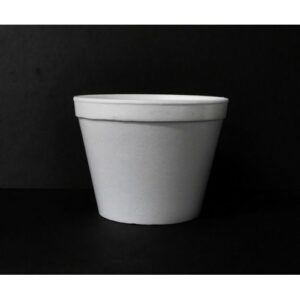 Foam Containers & Bowl